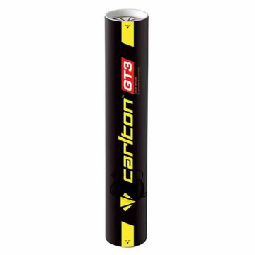 small-Carlton-GT3-snelheid-77-6897-1